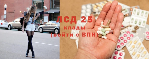 PSILOCYBIN Инсар