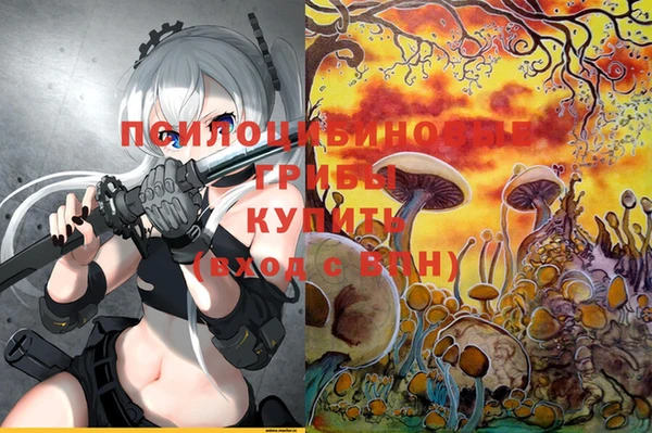 СК Иннополис