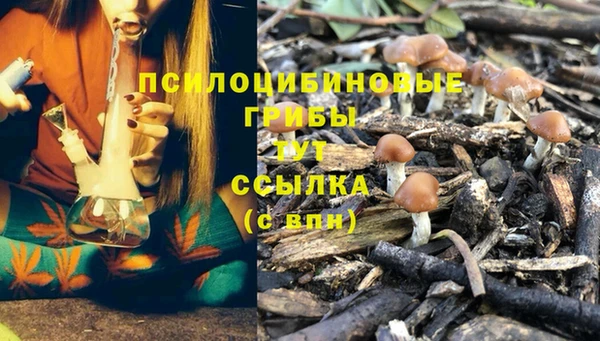 PSILOCYBIN Инсар