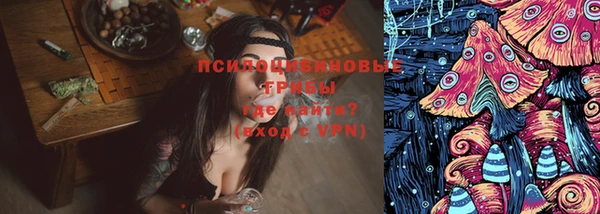 PSILOCYBIN Инсар
