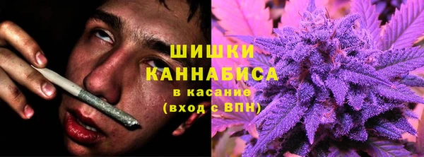 PSILOCYBIN Инсар