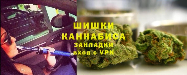 PSILOCYBIN Инсар