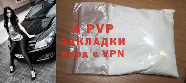 PSILOCYBIN Инсар