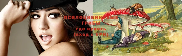 PSILOCYBIN Инсар