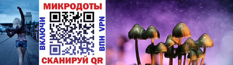 Галлюциногенные грибы Cubensis Купить закладки Куртамыш